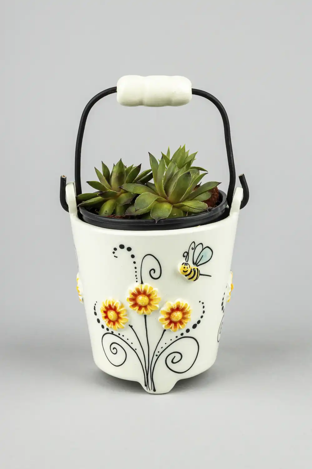 Kantica sa sukulentom-suncokreti