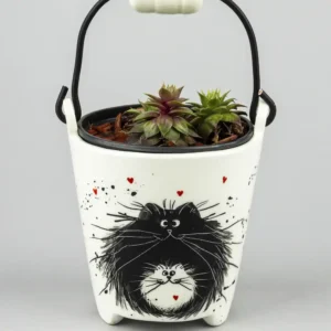 Kantica sa sukulentom-mace crno bijele
