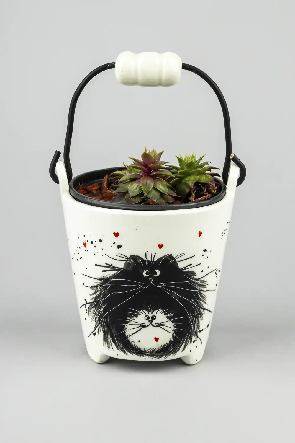 Kantica sa sukulentom-mace crno bijele