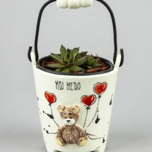 Kantica sa sukulentom-medo